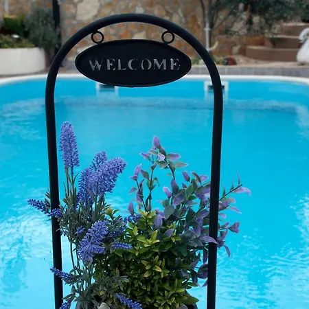 With Pool Split Vibe *